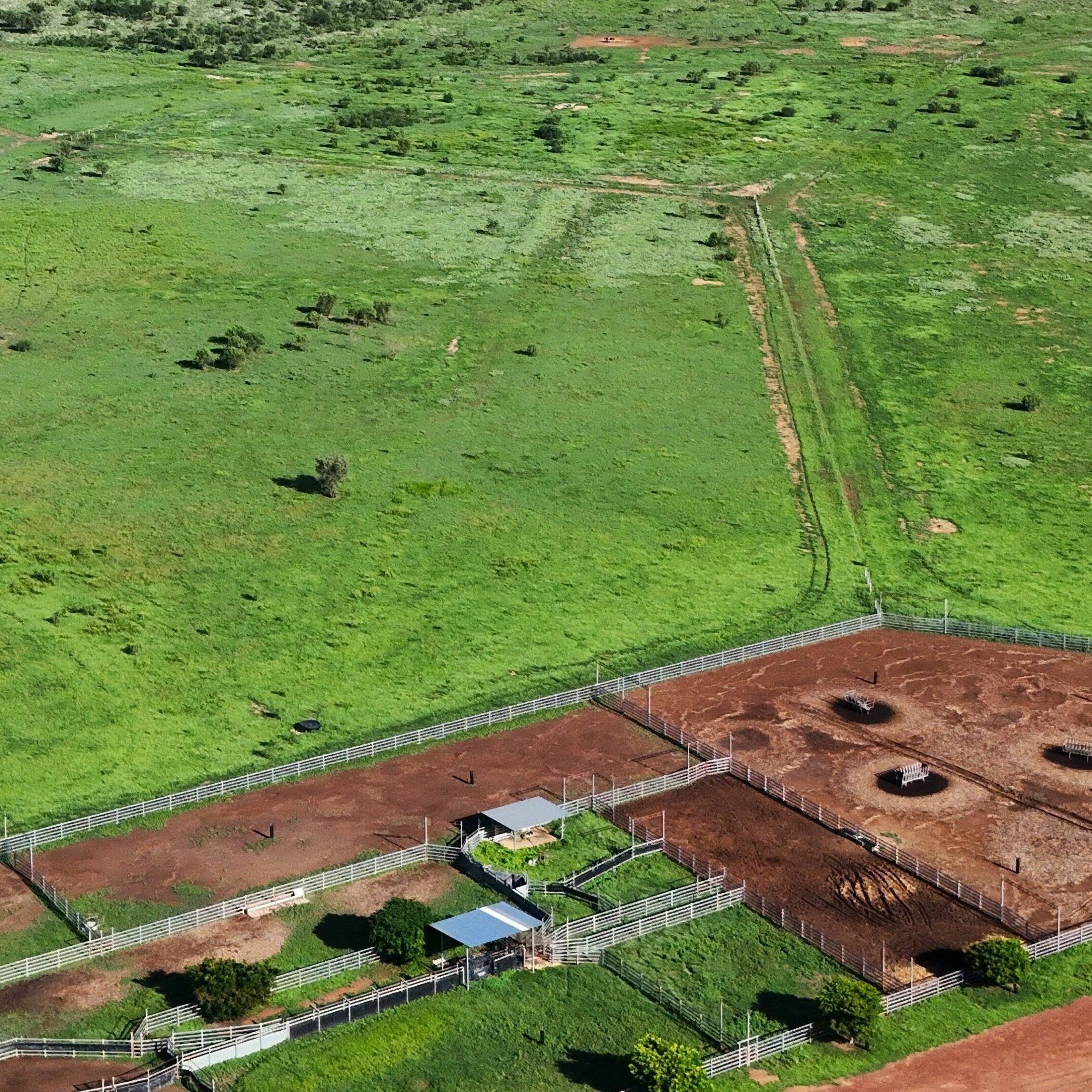 Cattle Station Farm Land