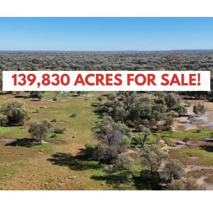 Avraham Well Station, 347 Wittenburra Road, Eulo, QLD 4491, Australia