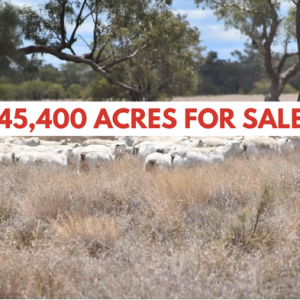 SOLD (3) Issac Well Station 9075 Cunnamulla Charleville Road, Wyandra, QLD 4489, Australia
