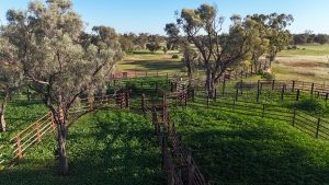 Avraham Well Station property photograph