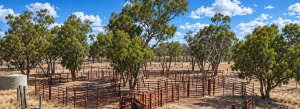Issac Well Station property photograph